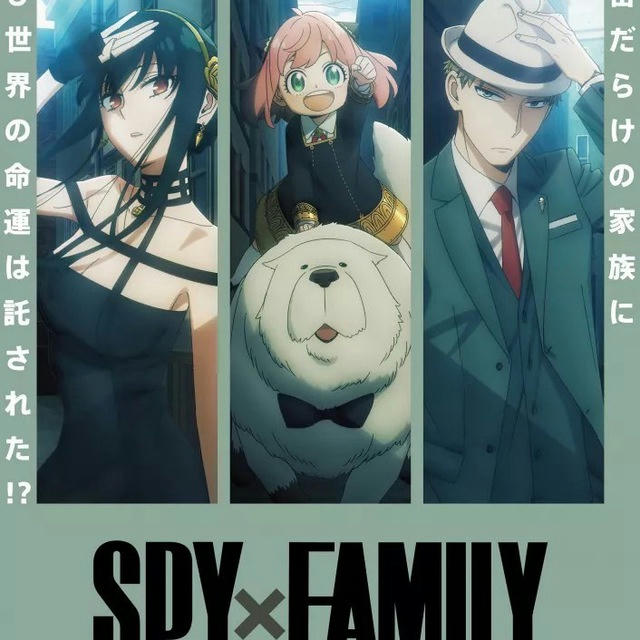 Spy X Family: S1/S3 Vf