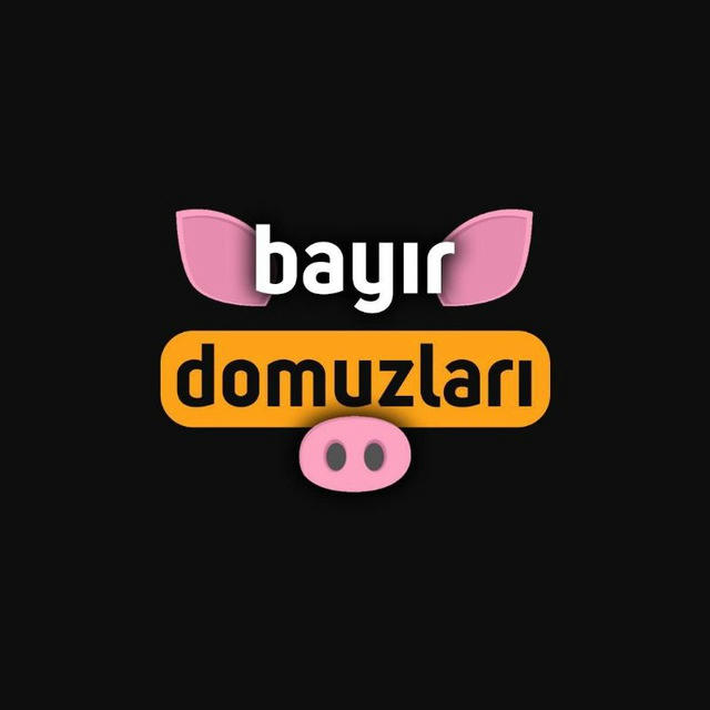 Bayır_Domuzları Official