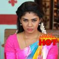 Vijay Serial Actress