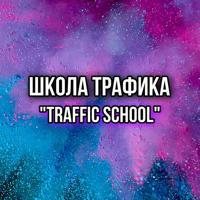 Школа трафика «Traffic School»