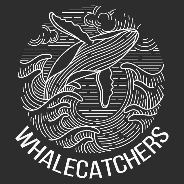 WhaleCatchers - экспедиции к китам 🐋