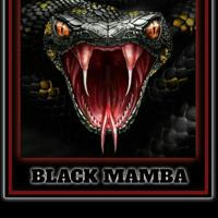 BLACK MAMBA (SAFE DEV ) 🐍