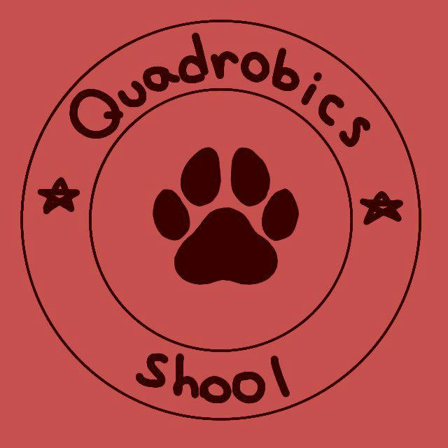 школа квадробики – quadrobics school