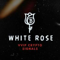 White Rose ®⚡