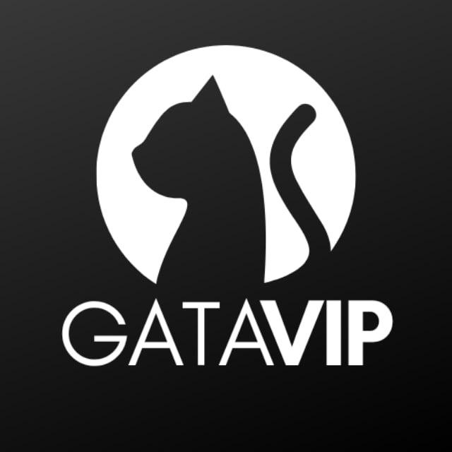 GATA VIP | VITRINE