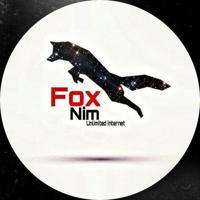 🦊 Fox Nim 🚀🌏