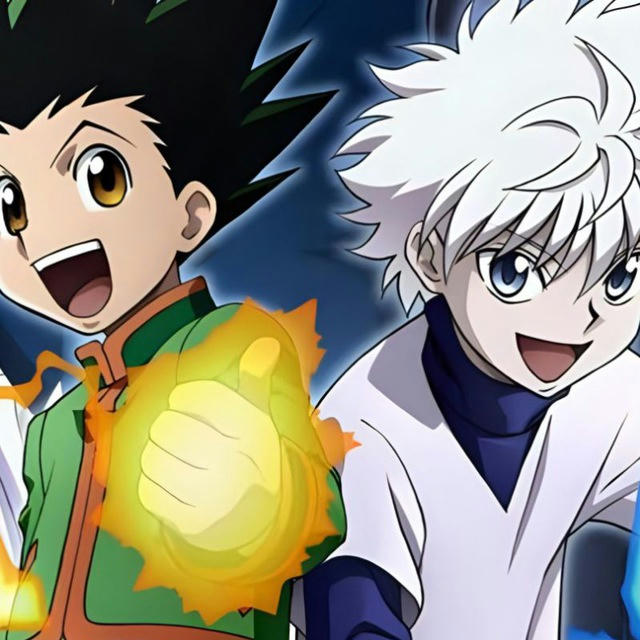 Hunter X Hunter Hindi Dubbed