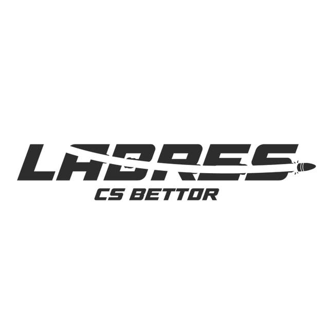 Labres CS2 Picks