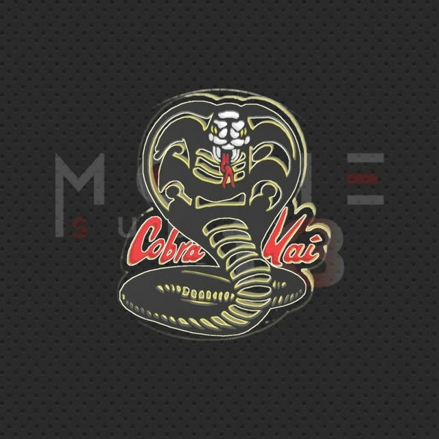 Cobra Kai | MovieSub | 13