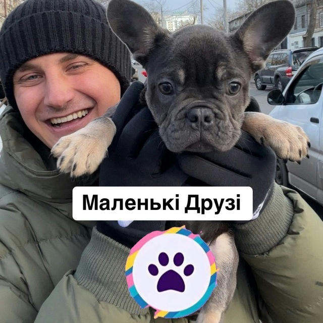 Маленькі Друзі. Цуценя 🐶 Кошеня 🐱