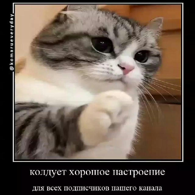 Паблик коттега