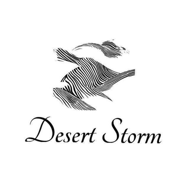 Desert storm 中国频道