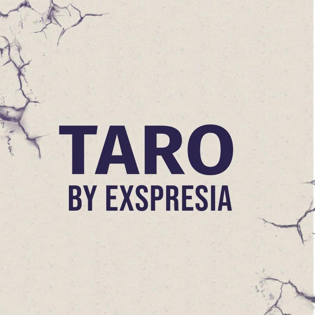 TARO BY EXSPRESIA