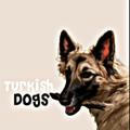 Turkish.dogs