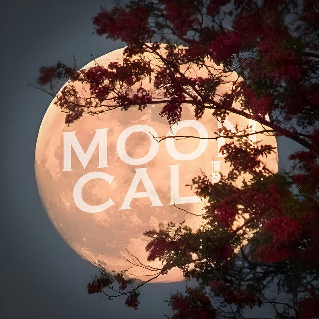 Moon call ☎️