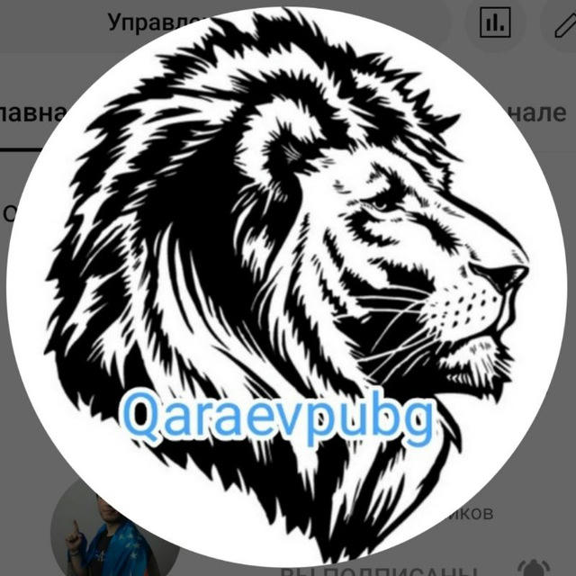 Qaraev Pubg Mobile