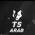 T5 Tscrems2🇸🇦