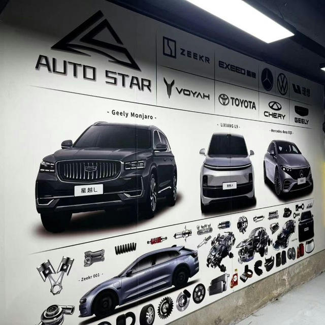 China Auto Star Trading