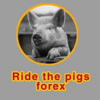 Ride the Pig Signals