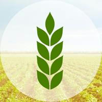 Аграрный журнал «Сельхоз и агропром» | Сельское хозяйство и пищевая промышленность (агробизнес, садоводство, продукты питания)