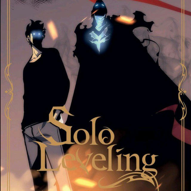 SOlO LEVELING