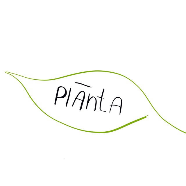 plānta