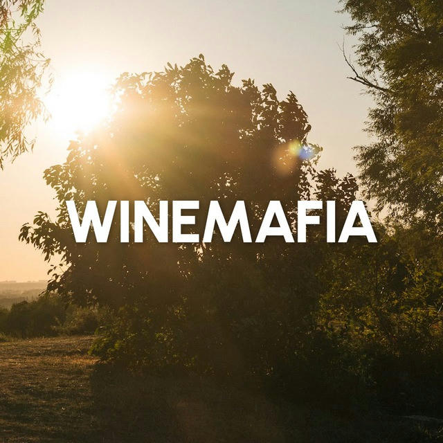 Виноградники Winemafia