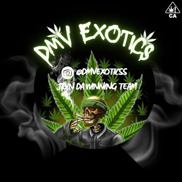 DmvExotics