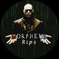 Morpheus Rips Back Up