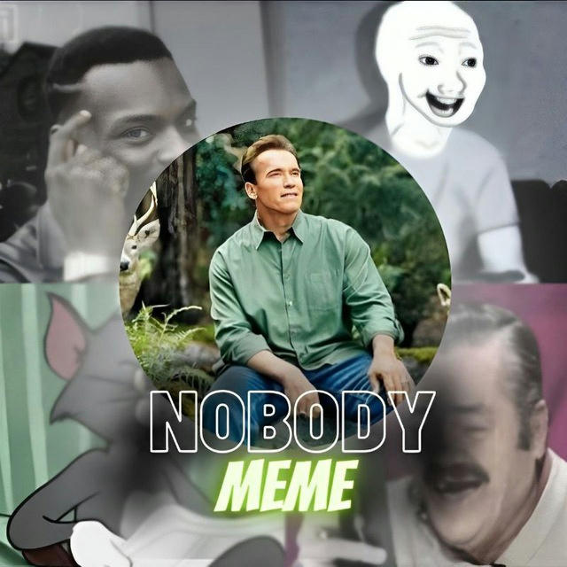 Nobody Meme