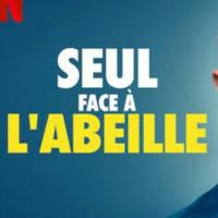 🇫🇷 SEUL FACE À L'ABEILLE / MAN VS BEE SAISON 1 2 INTEGRALE FRENCH VF