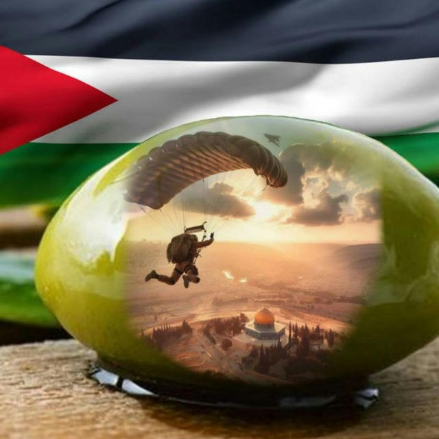Gaza - Palestine and Israel News
