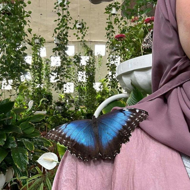 29 إبريل 🦋