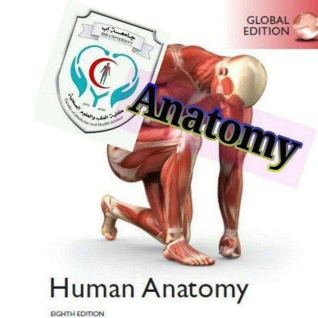 anatomy 8th class