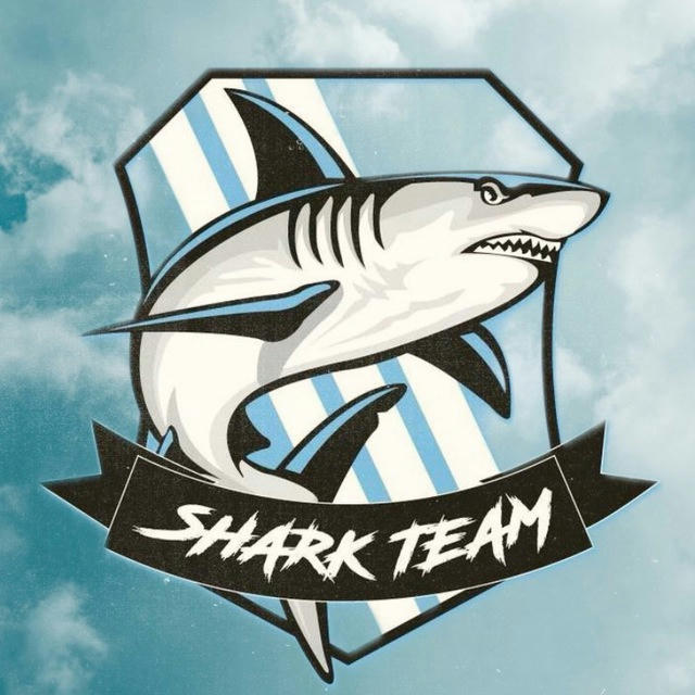 Manchester City | Shark Team
