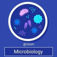 Microbiology with Islam