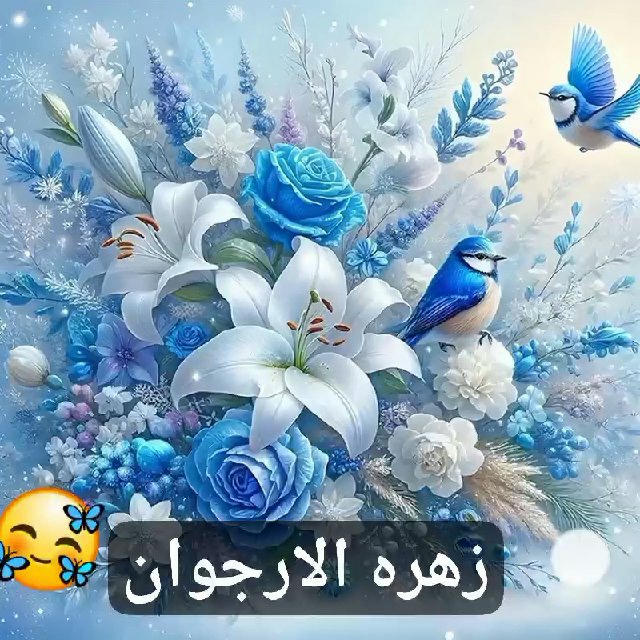 زهرة الارجوان🌺🦋