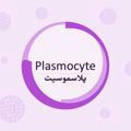 Plasmocyte | پلاسموسیت