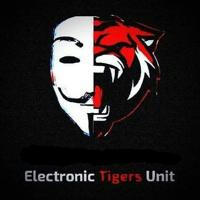 Electronic Tigers Unit