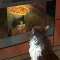 گربه‌ی پیتزا خور.