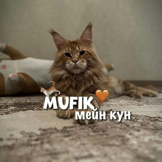 Mufik- Мейн Кун