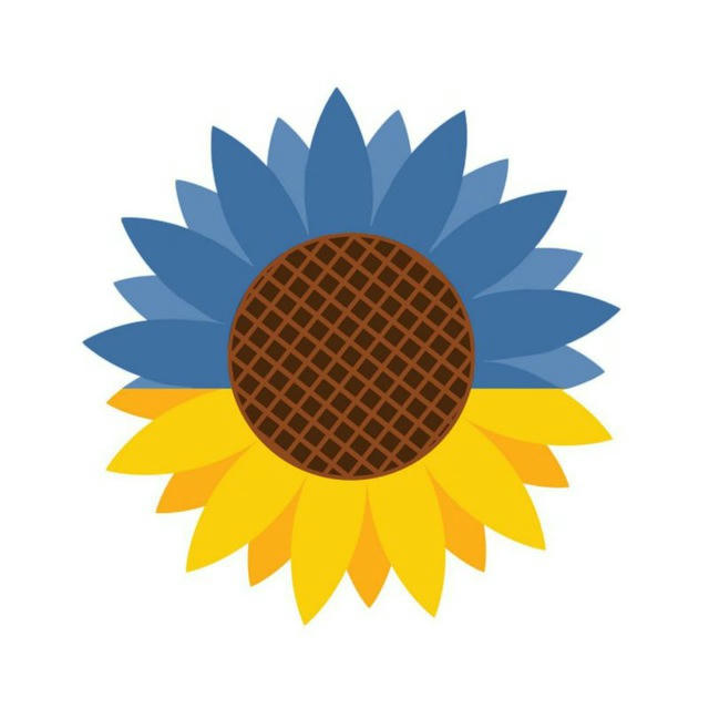 Соняшник 🌻