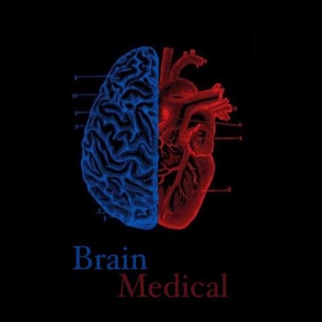 Brain | Medical🫀