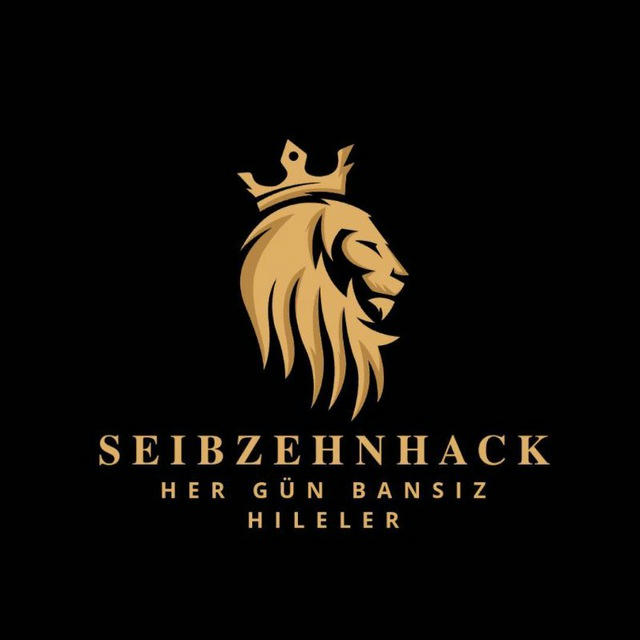 SEIBZHEN HACK