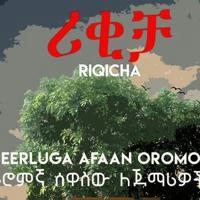 Riqicha/ሪቂቻ ኦሮምኛ ሰዋስው ለጀማሪወች/ seerlugaa Afaan Oromoo/ Afaan Oromoo grammar for beginners