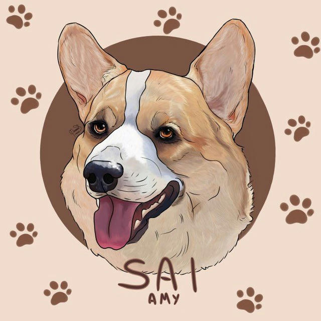 Sai_amy | амуниция для собак