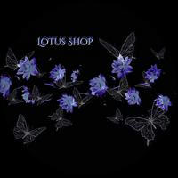 Lotus Shop|магазин оригинального мерча