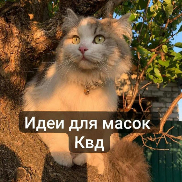 ×°^Идеи для масок Квд^°×