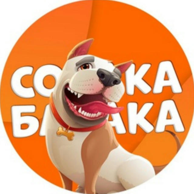 Собака бабака