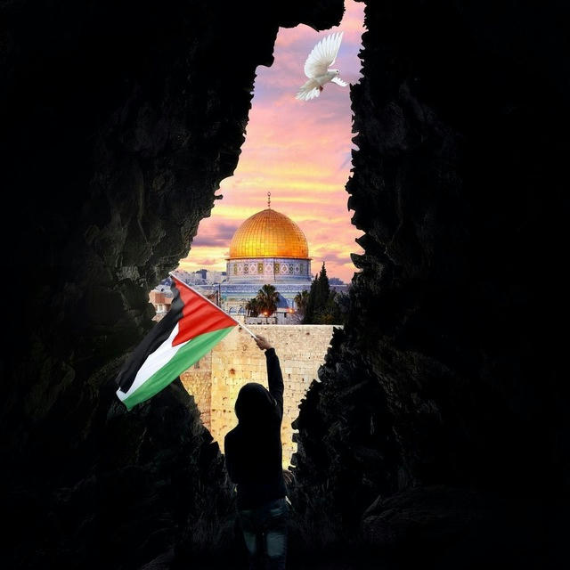 فلسطين 𝐏𝐀𝐋𝐄𝐒𝐓𝐈𝐍𝐄 🇵🇸